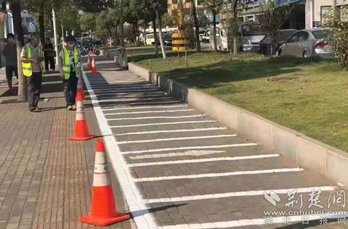 硬核担当 鄂州市市政设施管理处全力护航全国文明城市复审